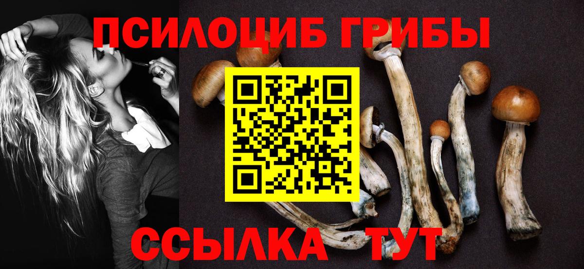 Волгоград  Псилоцибиновые грибы GOLDEN TEACHER  Вход с VPN 